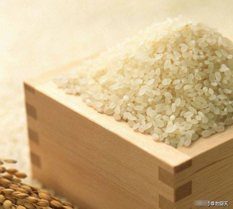 辅食|婴儿辅食:大米和小米,哪个好消化?很多妈妈都理解错了