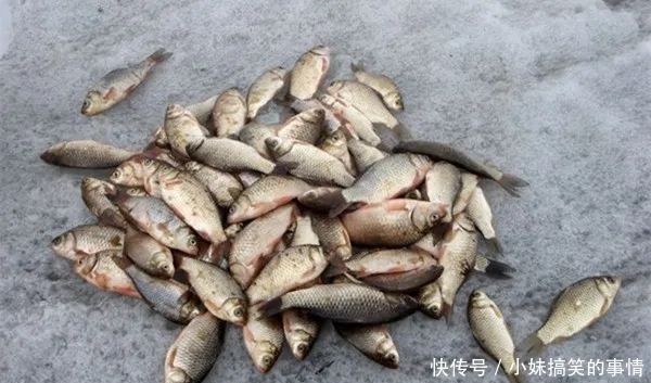 水库冰钓，钓点选择的四个思路，这些位置鱼儿扎堆过冬！