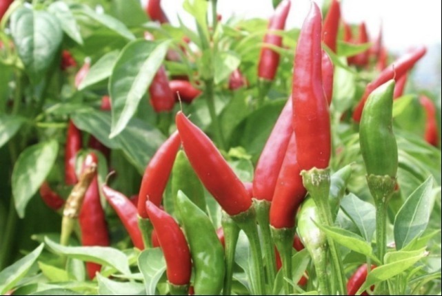 忌口|35岁男子脖子出现“异常”,查出甲状腺结节,医生:这3种食物要忌口