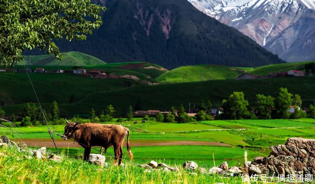 古代|古代,在黄河上负责拉铁索桥的都是大铁牛,为何不能是其它动物
