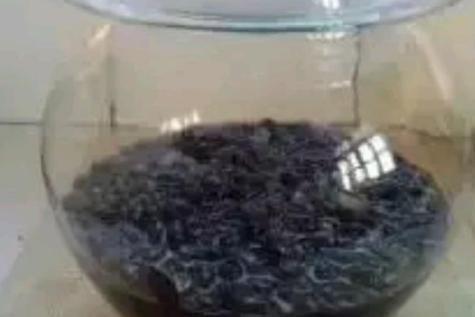 罐子|经常吃葡萄干好处多多,葡萄干和此物是“绝配”,不妨试着吃一些