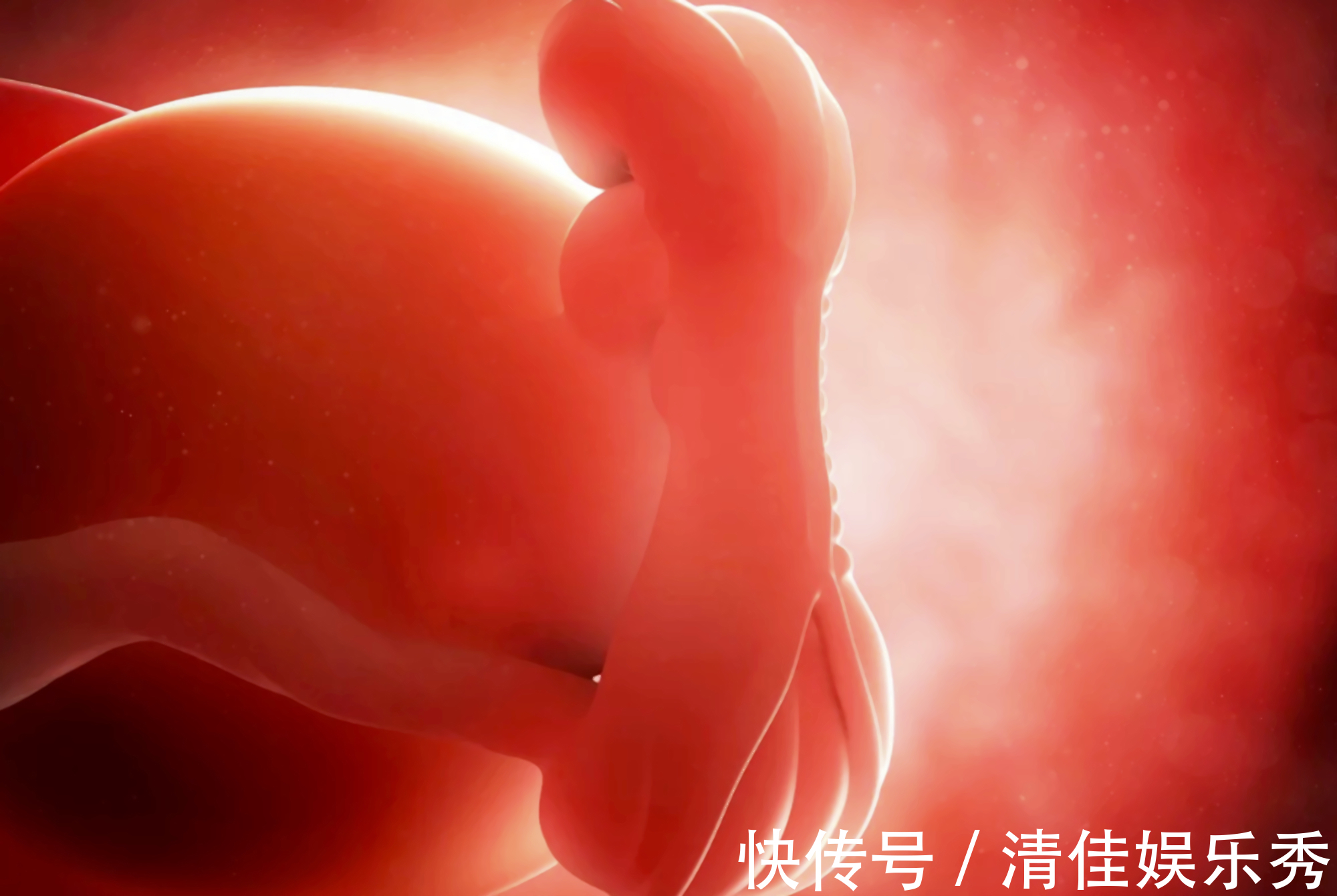 妇产医生|“她27岁,打胎17次”,妇产医生的讲述,引出了被流产毁掉的女孩