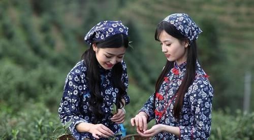 儿茶素|喝完茶胃很饿:茶多酚里这类物质高达75%,多喝会年轻