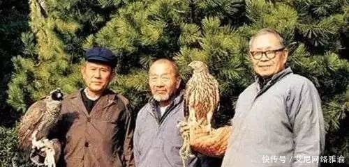 斗败|王世襄为斗败名家的蟋蟀,他在野外,用一招竟抓住了黑“将军”