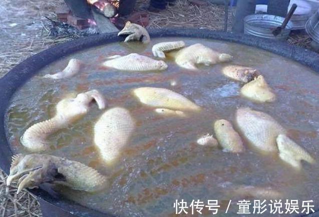 小伙子|农村90后小伙结婚，婚宴上大鱼大肉分量足却没人吃，