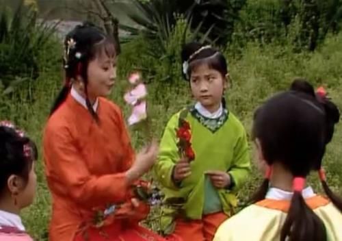  红楼梦|《红楼梦》中的斗草是什么？它有什么历史？如何玩？