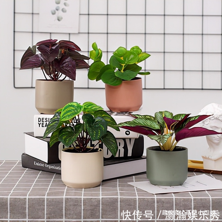 6种花盆，不适合养花，难怪长势不好，扔了吧