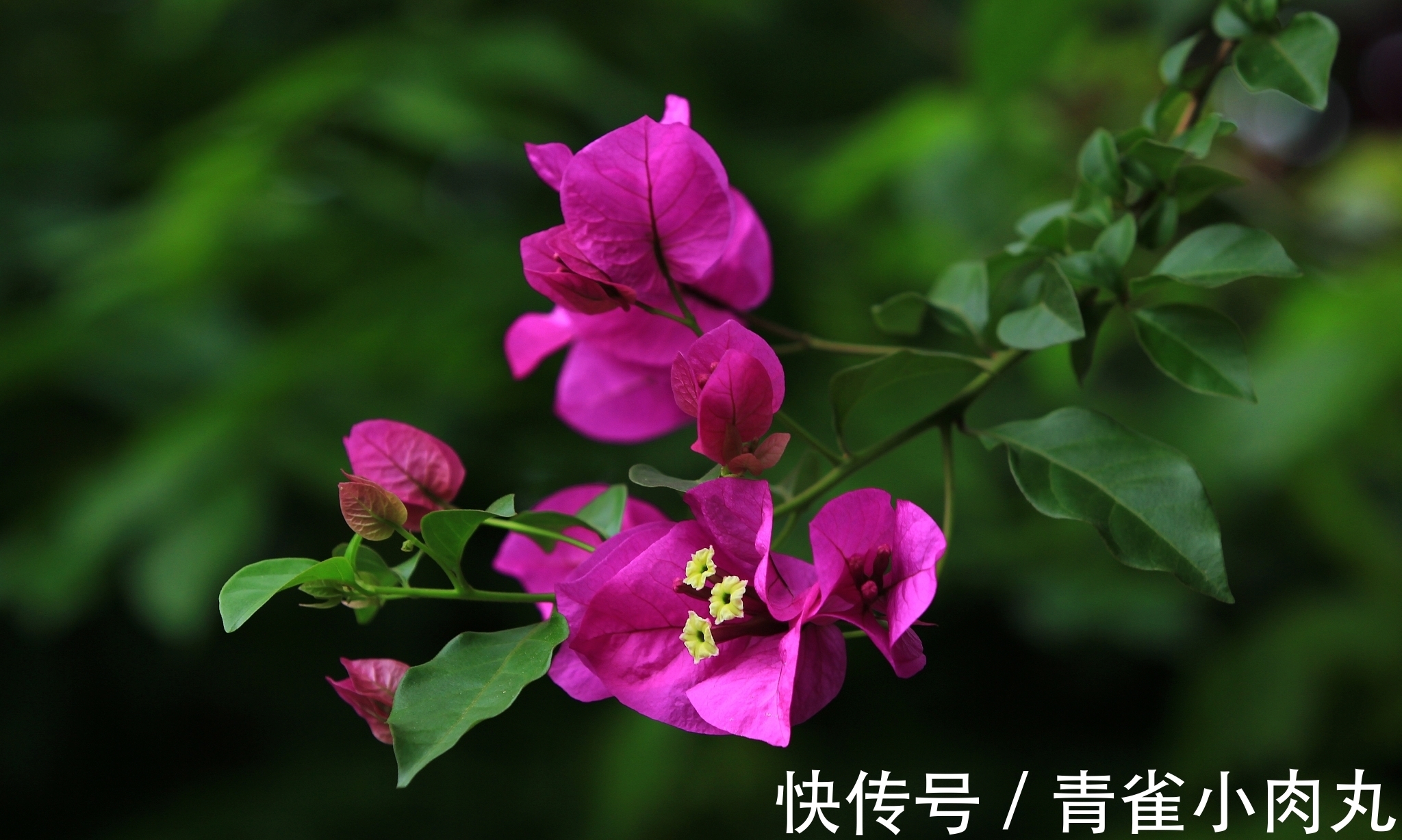 晓东&原创诗词27首,晓东点评,推荐学习4首