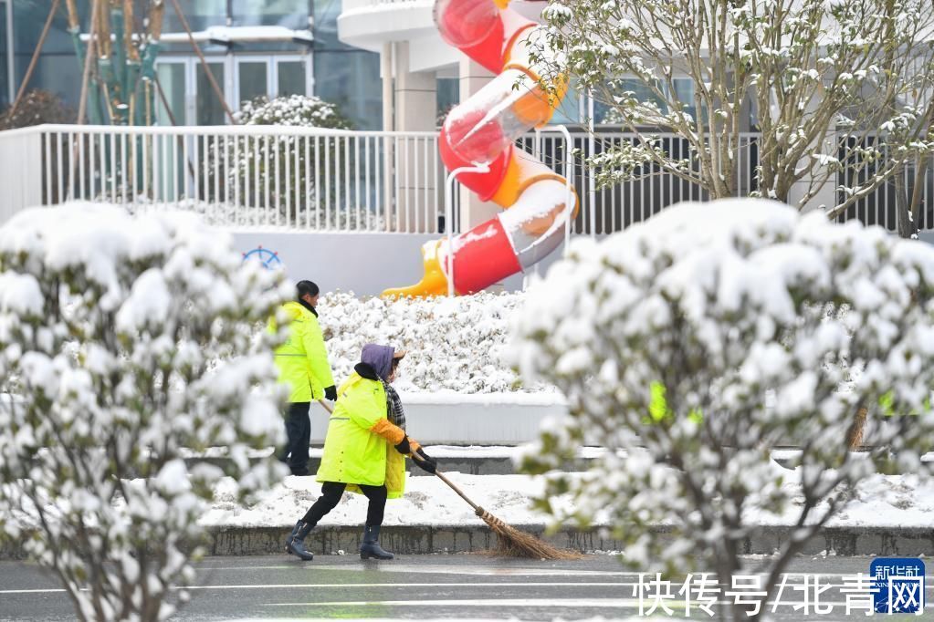 陈泽国|严寒中的坚守