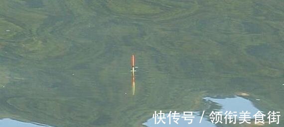 钓鱼10多年,才知道正确的跑铅钓是这样的!