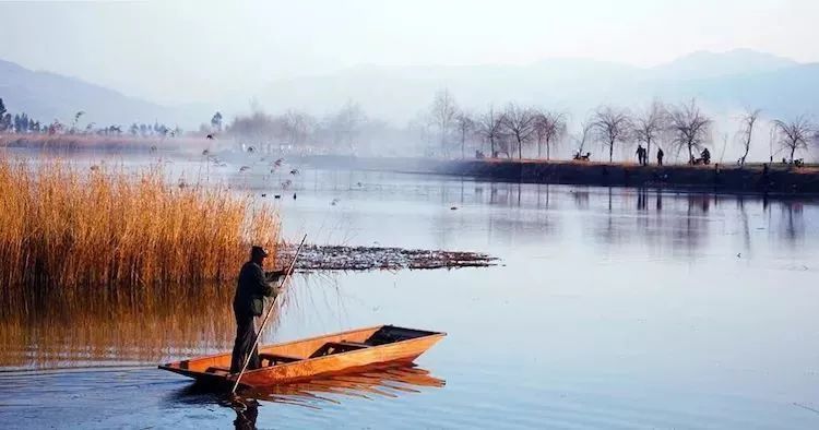 静心养多肉,只是为了在成人的世界里随波不逐流!