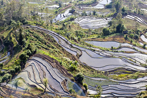 梯田|山势最险峻复杂、气势最恢宏壮观，大地雕塑最高典范，老虎嘴梯田