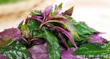 想要|女性想要皮肤好，推荐4物，每天坚持吃，明目养肝，改善皮肤状况