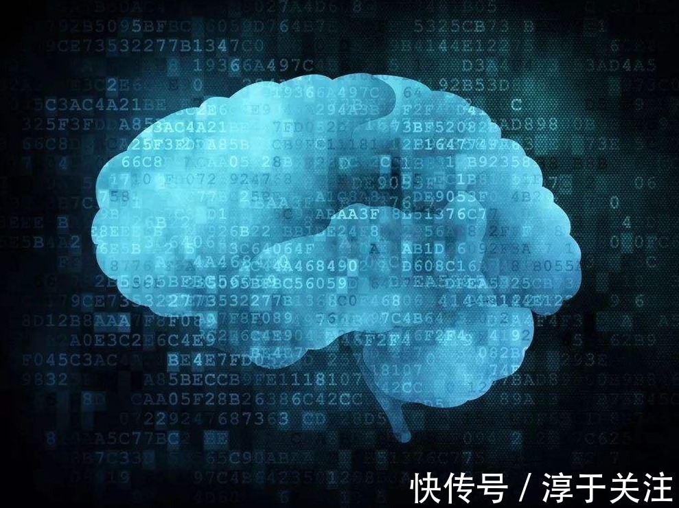 自律性|哈佛最新研究孩子一生只有3次脑部发育高峰期,至少要抓住一次