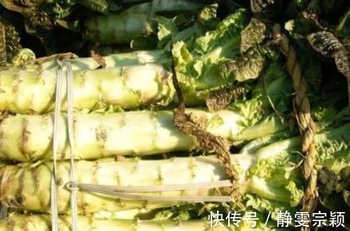 莴苣|它被称为天然的“胰岛素”,每天坚持吃,让你血糖稳定更健康