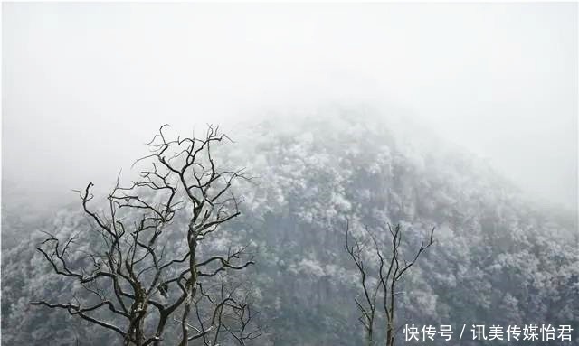 贵州旅游｜毕节的百里杜鹃，一下雪就美成仙境