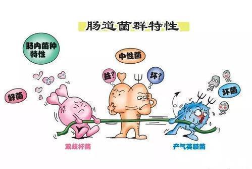 动物性食物|吃肉好还是吃素好研究发现健康素食大幅降低2型糖尿病的风险。