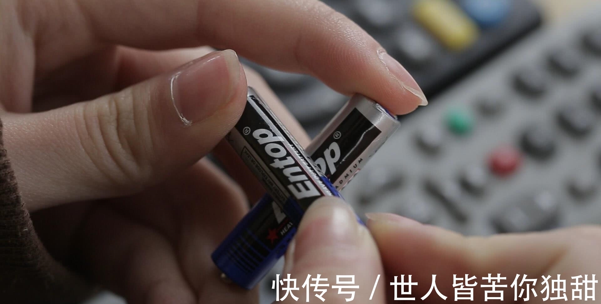 食肉动物|10条新鲜好玩的冷门小知识,你知道多少呢?