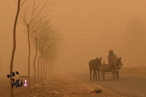 民勤：风沙线上筑“长城”大漠深处见奇观