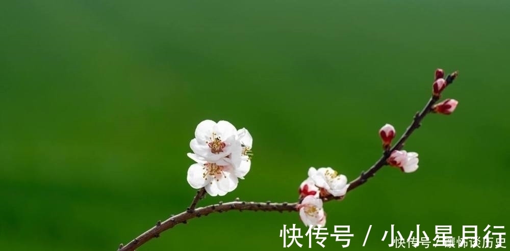 杨万里$清风明月正宜人,足以慰风尘,七首唯美宋诗,忘却烦恼只留星辰