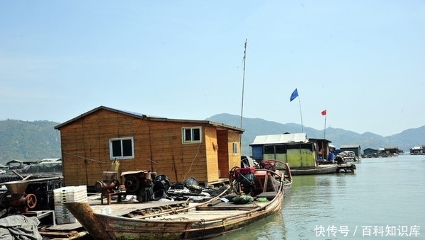 一拖|搬家一拖就走，霞浦渔民海上聚落，成独特风景