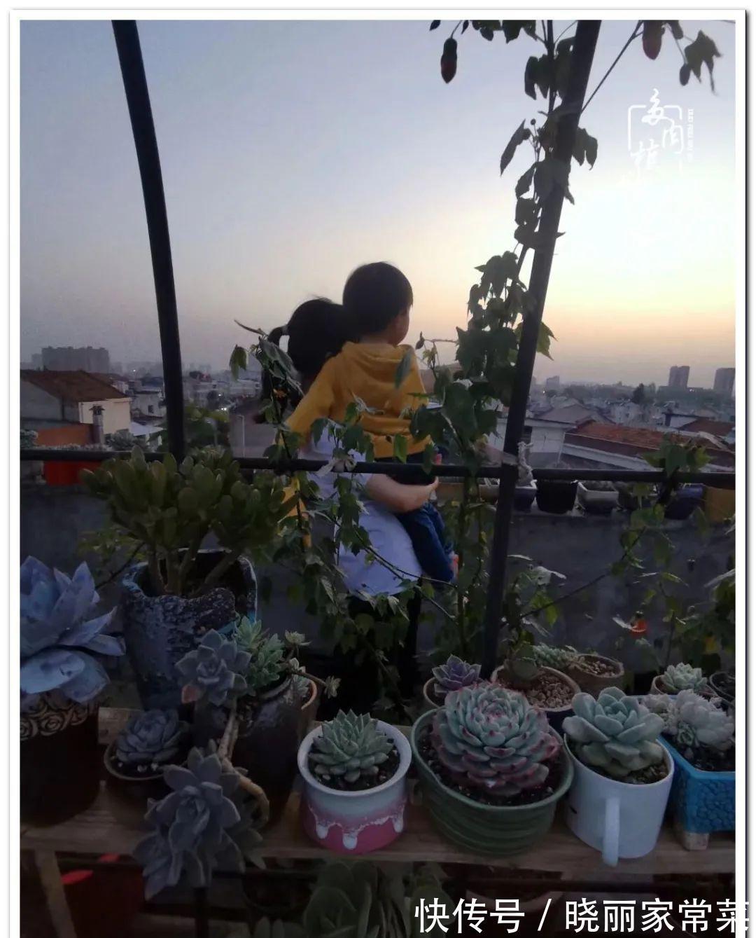 百科|多肉之路,让我沉醉,浮世三千,有肉就欢!