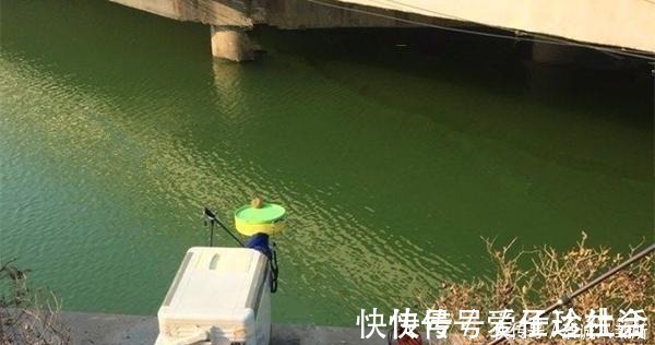 冬钓阳|冬季钓鱼,何时钓深何时钓浅?鱼窝这样找,深浅都上鱼!