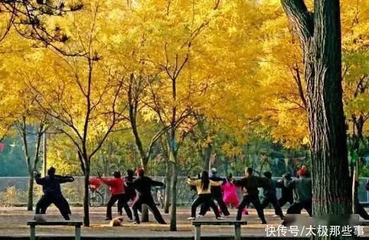 功夫|练太极不懂这些 练一辈子可能还是个糊涂人