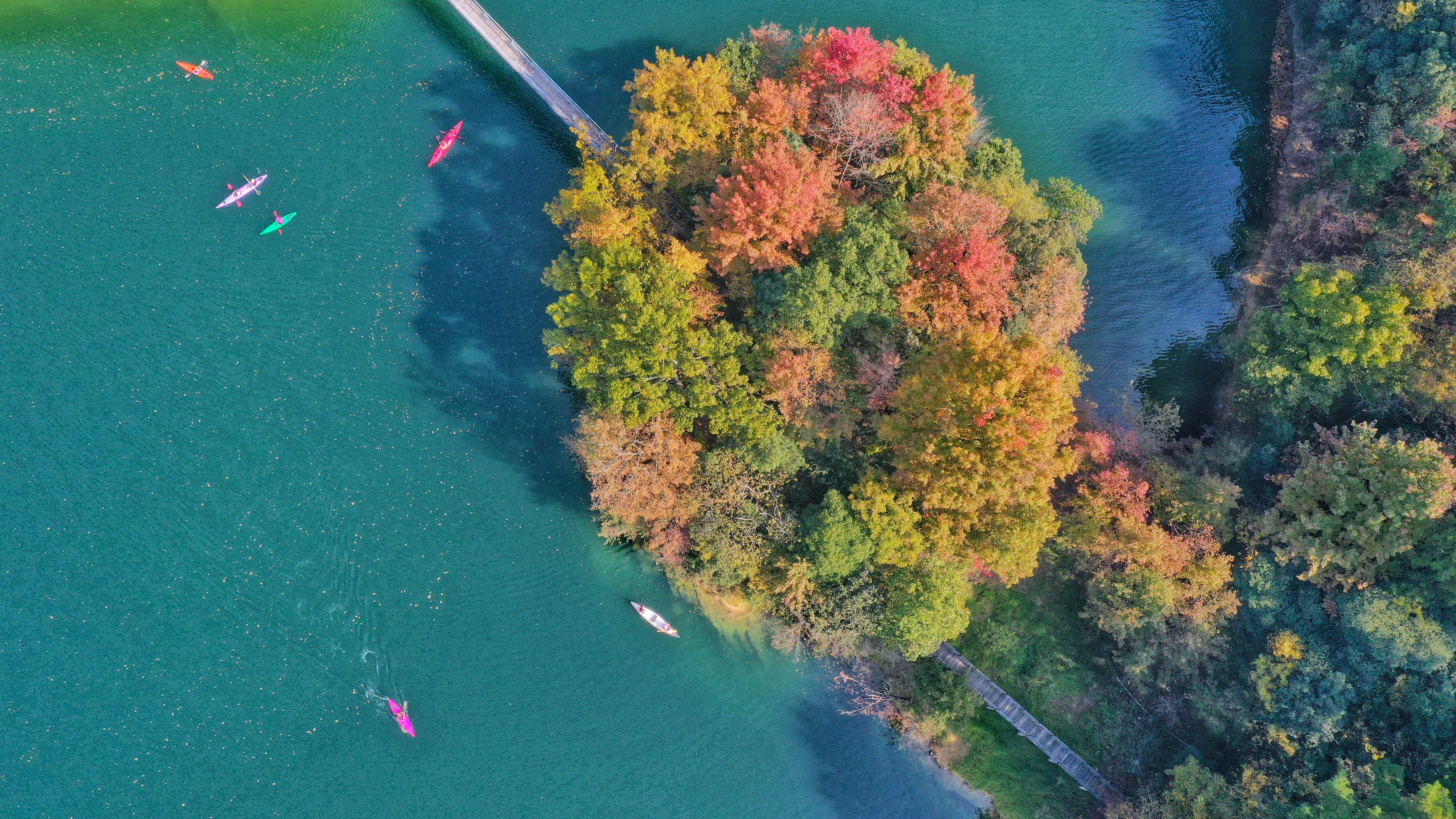 打翻|深秋的千岛湖打翻了“调色盘”，美翻啦！