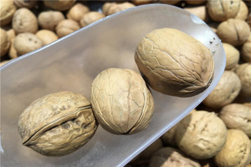 明智|糖尿病人，若想要锻炼，选择哪个时间是明智的？此文有答案