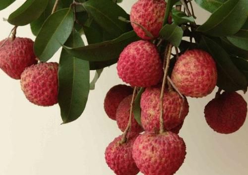 癌变|42岁女子甲状腺结节2年,医生:“1粗粮”常吃,甲状腺迟早癌变