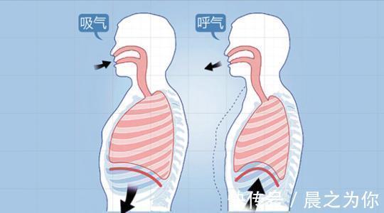 臀部|37岁的年纪,20岁的身体,韩国性感健身女神性金洙熙健身秘籍来了