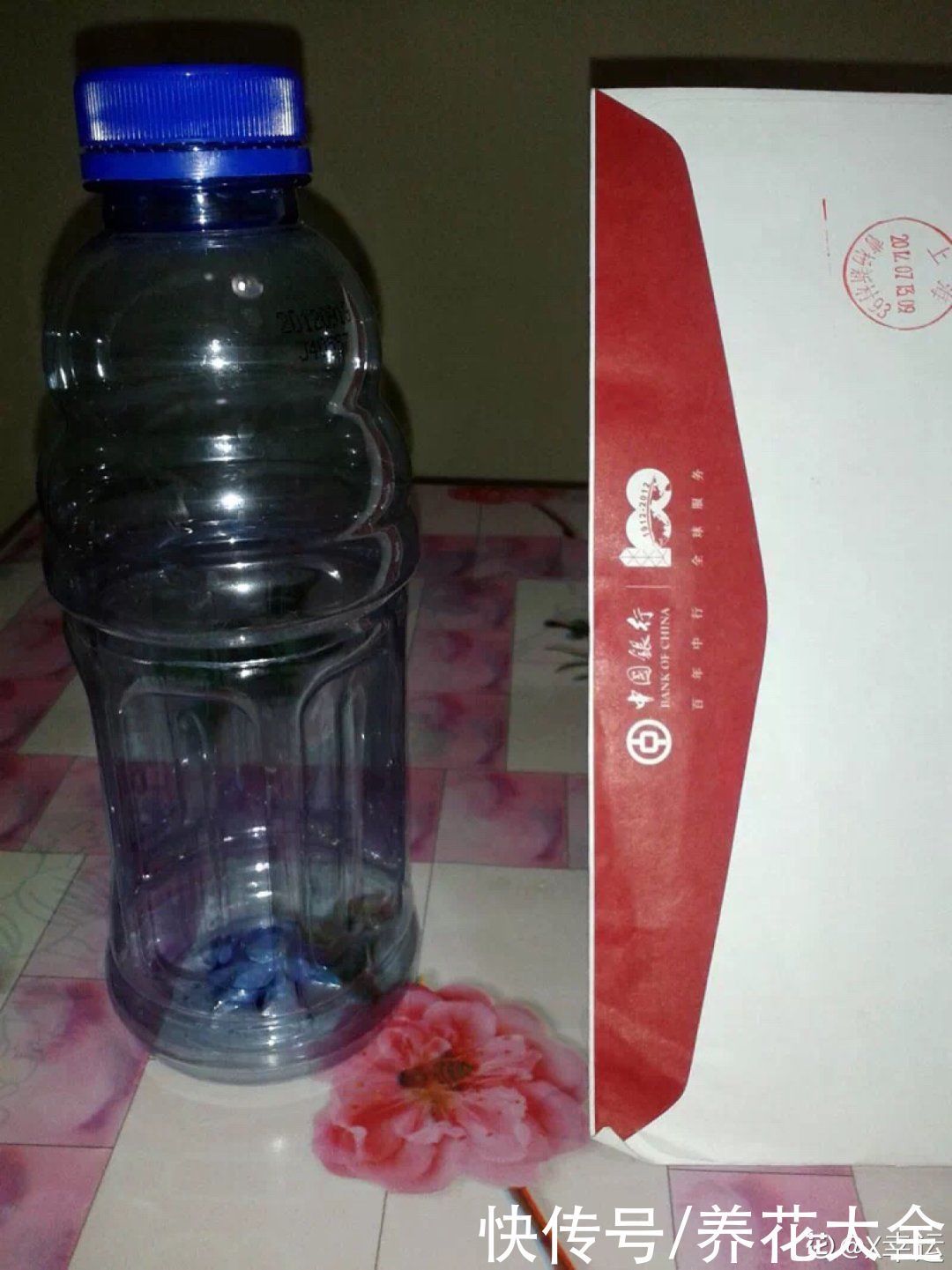 旧筷子、老干妈瓶别扔，拿来养花效果好，省下一笔养花钱