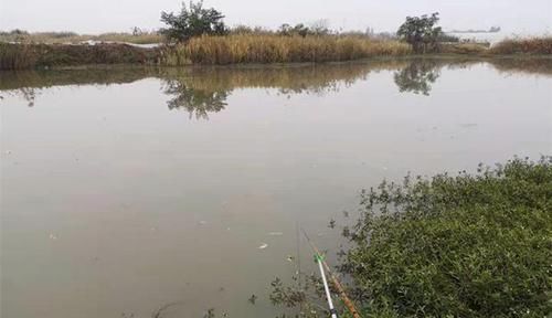 饵料|冬季也能玩台钓,用了4个必杀技巧,板鲫接二连三的上,很过瘾!