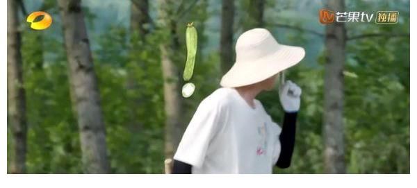 两人|《向往的生活》张子枫对梁靖康说的第一句话，尽显两人关系，难怪黄磊想要打他