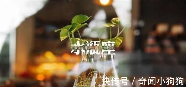 高情商|有“社交牛逼症”的三大星座，让人羡慕之余，却慨叹其常被感情伤