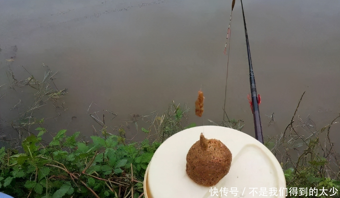 鸡饲料这样用，小鱼不闹，发窝更快