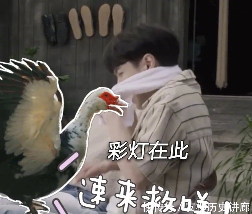 c为了鼓励张艺兴掏鸡蛋,网友们各出奇招为其打call