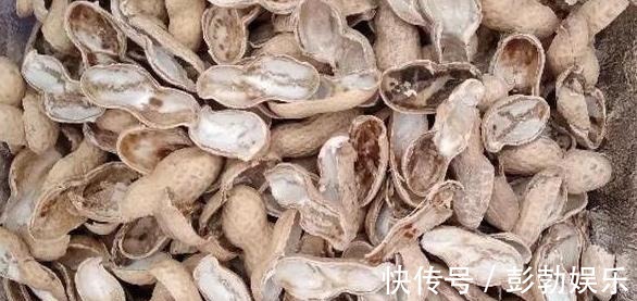 花生壳、核桃壳别再扔了,养花铺盆底,土壤透气、植物疯长