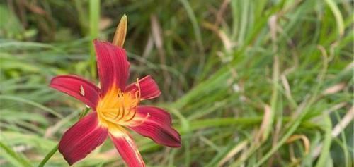 肝气郁滞|查出子宫肌瘤别怕忌口2物,戒掉3习,多吃4物,活血化瘀消肌瘤