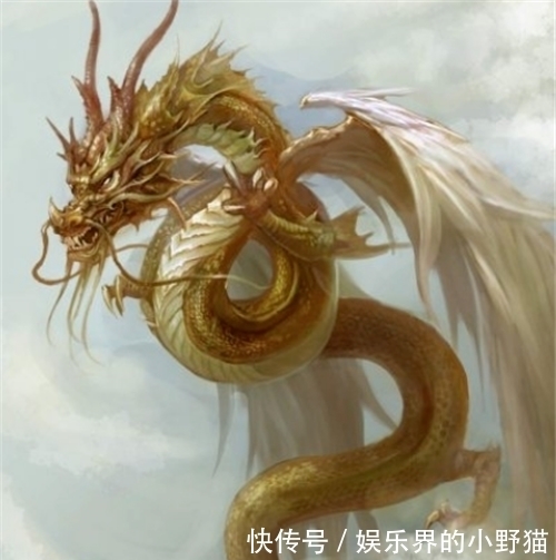 左青龙 右白虎 前朱雀 后玄武 中间是什么 可别答 二百五 快资讯