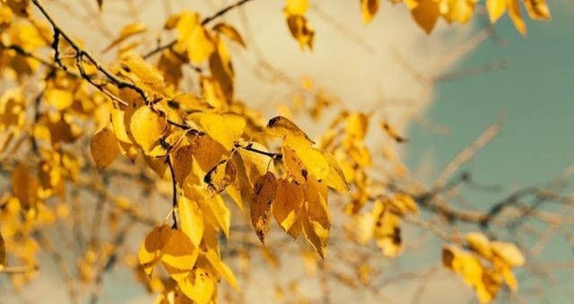 人生@辛弃疾被朋友骗了后一病不起,写下首临终绝笔,道出人生三大真谛