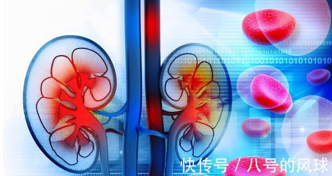 服用|最适合老年人服用的降压药是坎地沙坦,医生告诉你为什么