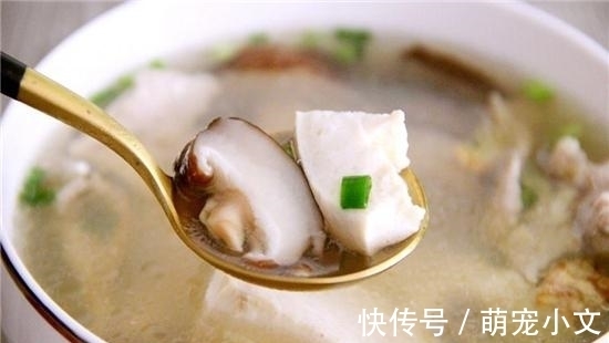 泥丸|听说你很爱吃豆腐的原因,是因为这些豆腐汤很减脂