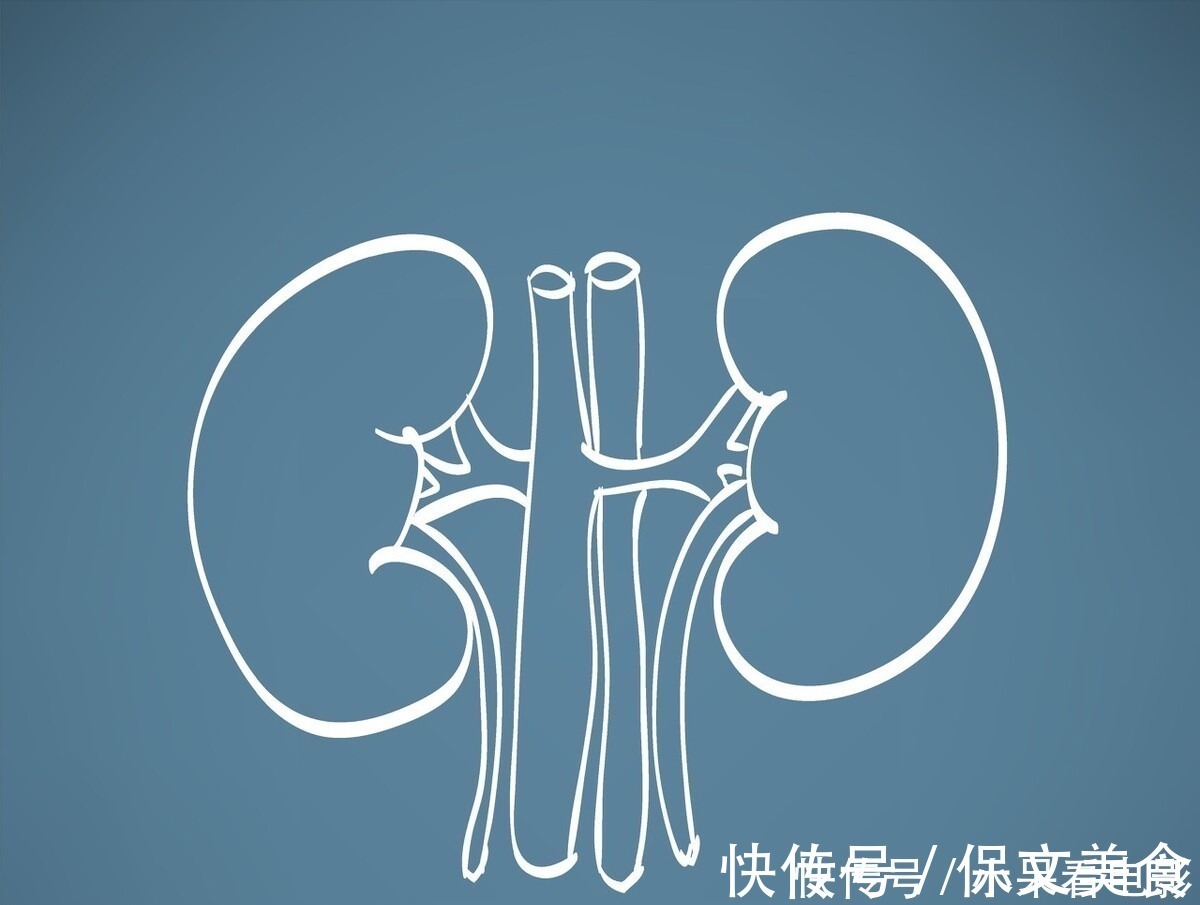 膀胱|喝酒后很快就要小便，与喝酒后许久都不小便，哪种人的肾更健康？