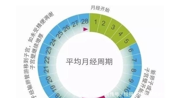 十月怀胎|明明是“十月怀胎”,为啥只有280天?过来人告诉你孕周该咋算