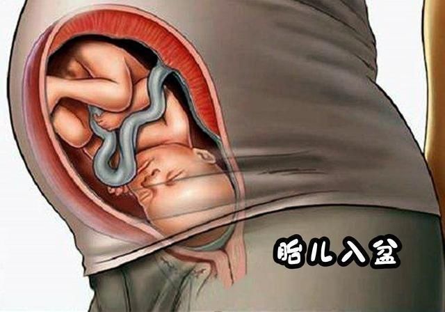 弧线|孕36周后，孕妈有这2种怪怪的“变化”，恭喜你，是胎儿入盆了