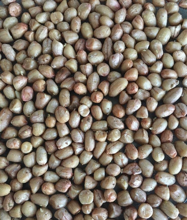 五香花生米不用锅炒，用这个方法做出来的花生米，下酒菜杠杠的