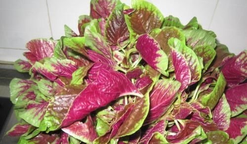 良性肿瘤|患上子宫肌瘤要淡定,6种食物坚持吃,助你活血化瘀、消除肌瘤