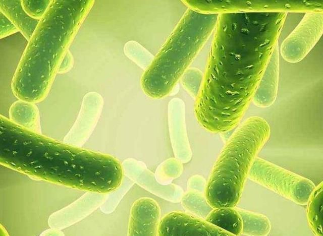 智力|就算你是土豪,也不要买这3种儿童保健品,吃错了影响孩子健康!